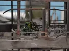 projectimage11