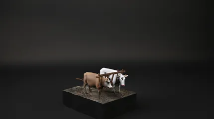 projectimage75